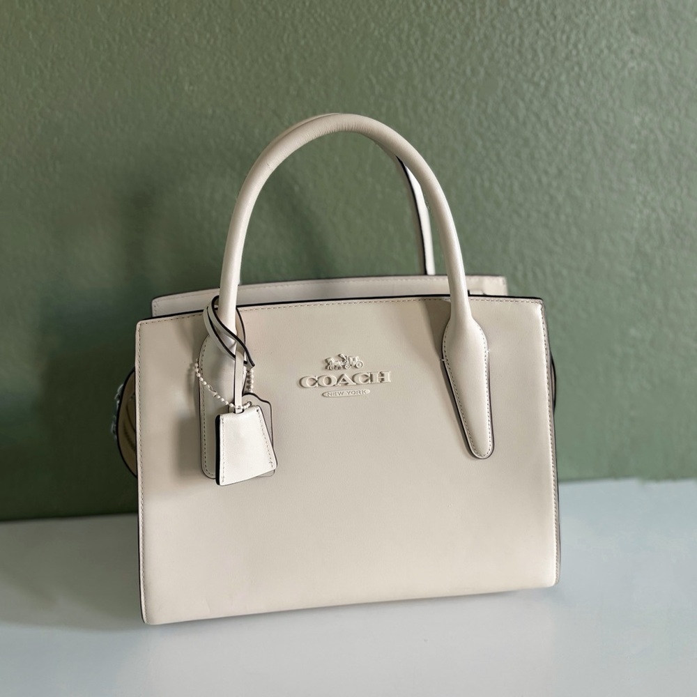 LARGE ANDREA CARRYALL BAG